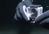 문어에게 카메라를 달아 관찰