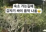 발리 수영장 접수한 한국 아줌마