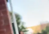 전갈이 나타났다는 여자 친구