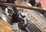 요즘 주식 안하는 사람들 상황.gif