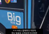 십수년째 버스기사들에게 착한척 연기하고 있는 악당녀 ㅋㅋ