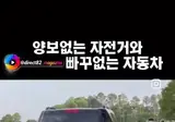 자동차와 기싸움 하는 자라니