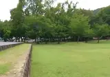 아침 일찍 사슴공원 가면