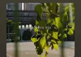 요즘 빠진 노래인데 너무 좋아요