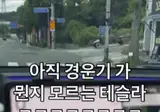 한국 적응이 힘든 테슬라