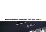 도내 s급 걸레녀