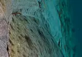 정면에서 본 광어의 얼굴.mp4