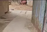 집 안지키고 놀다와서 혼나는 시고르자브종