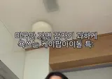 미국만 가면 갑자기 과하게 욕쓰는 케이팝아이돌 특