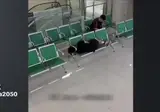 의자 다리가 4개인 이유