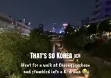 해외에서 화제가 된 청계천 건너는 커플.mp4