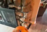 공을 던지면 주인을 끌고가는 골댕댕이 ㅋㅋㅋ.mp4