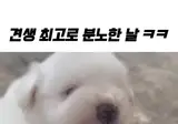 지구 최강 맹수가 분노했을 때 수준ㄷㄷ.mp4