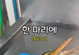 한 마리 64,000원짜리 새우