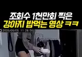 조회수 1천만회 찍은 강아지 밥먹는 영상 ㅋㅋ