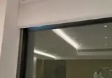 한반도 열돔 깨고 중국 직격한 돌핀 근황