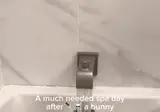 진짜 얌전한 수속성 강아지