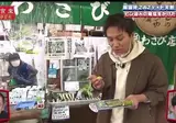 탄산음료를 마시니까 와사비가 안매워요.mp4