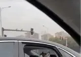 기사님 창문닫아주세요 서민과 눈이마주쳤어요