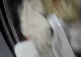 주인님 살려주세요...