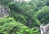 대전 성심당 40분거리 폭포