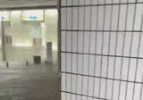 폭우로 물난리난 일본 근황