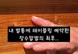 장수말벌 선발대를 조져야 하는 이유
