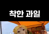 신선하고 상큼한 과일가게 OPEN!! 🍇 🍈 🍉
