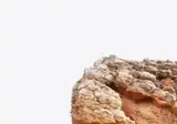 놀라운 수평 도약과 순간 악력을 보여주는 크라이머