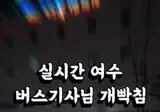 불법주정차 때문에 개빡친 버스기사 ㄷ