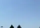 튀르키예 터키 F -16 전투기 나무에 부딪혀 추락하는 영상
