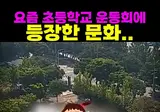 요즘 초등학교 운동회 문화
