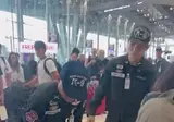 공항 탐지견의 일탈