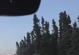 실제로 보면 비현실적으로 느껴진다는 무스 크기.mp4