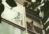 읍!! 읏!!! 흐응♡♡ 조심히이 들어가 타가시쿤!!....