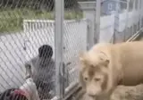 나는 진짜 괜찮은데 너 다른 애들 있을 때는 이러지 마라..gif