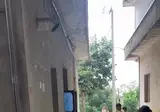 골목 안 흉폭한 맹수 흰둥이