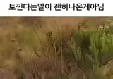 토낀다는 말이 생긴 이유