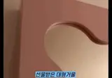 고윤정이 리센느 멤버들에게 선물해줬다는 대형 거울 가격ㄷㄷ.gif