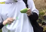 여배우 먹뱉 레전드