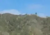 야생의 양을 만났을 때 필요한 스킬.gif