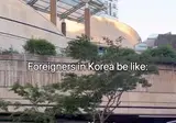 요즘 한국에 외국인이 너무 늘었다는 사람들