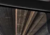 생존이 걸린 LA의 홈리스