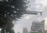 요란하게 질주하는 오토바이 무리들