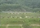 군대 실사격 특등사수