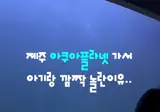 물범이 없어서 아쉬웠는데
