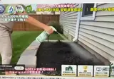 초강력 제초제의 미친 위력.mp4