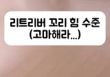 생각보다 ㅈㄴ 쎈 리트리버 꼬리콥터 mp4