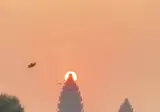 캄보디아 여행하면 볼수 있는 거