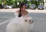 바이오 친환경 자율주행 자동차